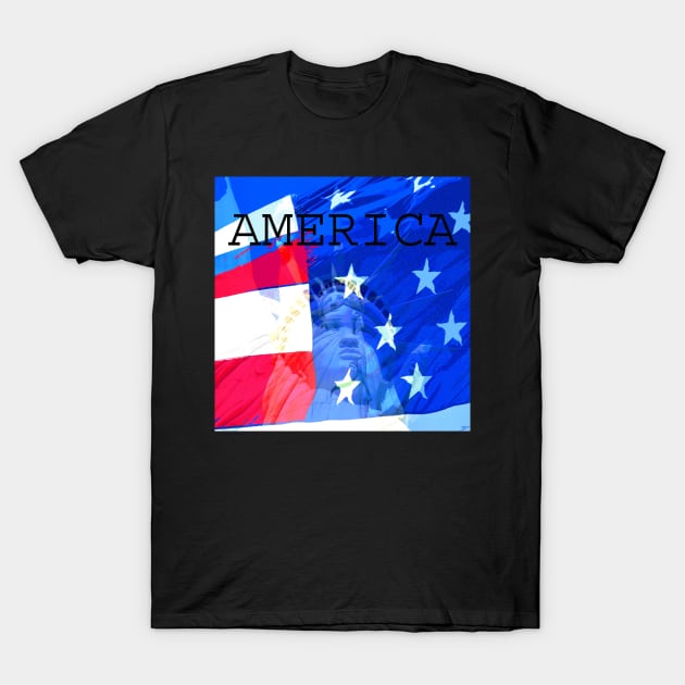 America T-Shirt by dltphoto